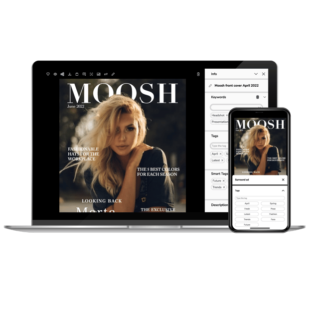 Moosh Magazine Canto Interface